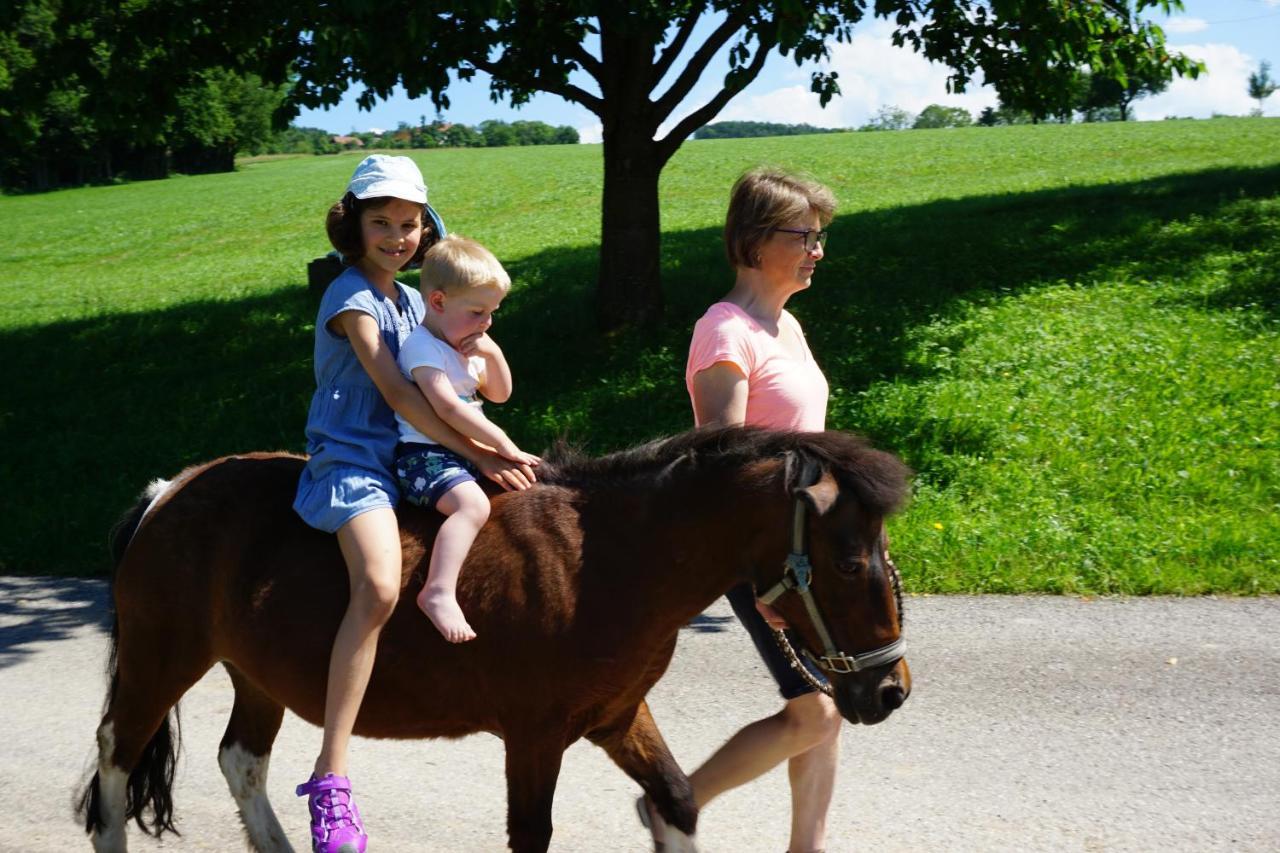 Kinderbauernhof Salmanner Steinbach an der Steyr Esterno foto