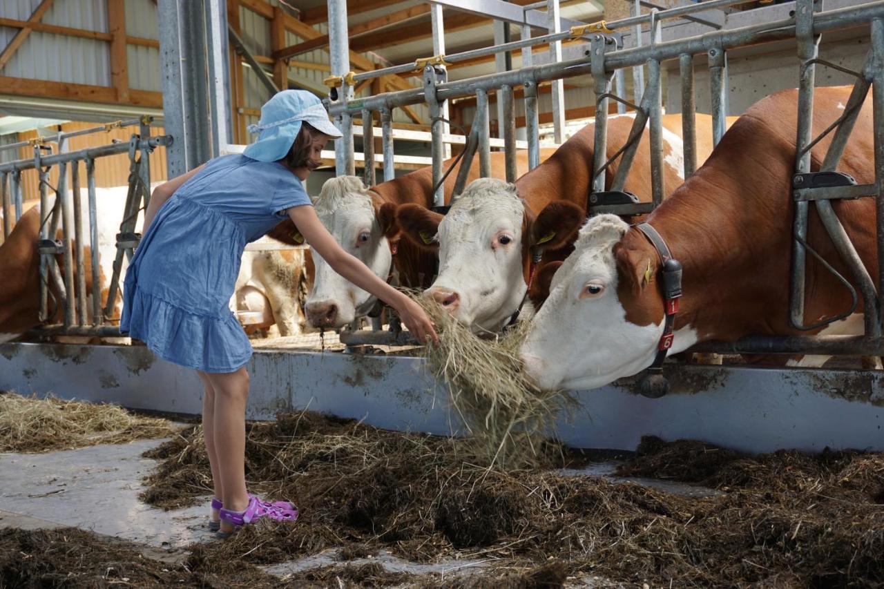 Kinderbauernhof Salmanner Steinbach an der Steyr Esterno foto