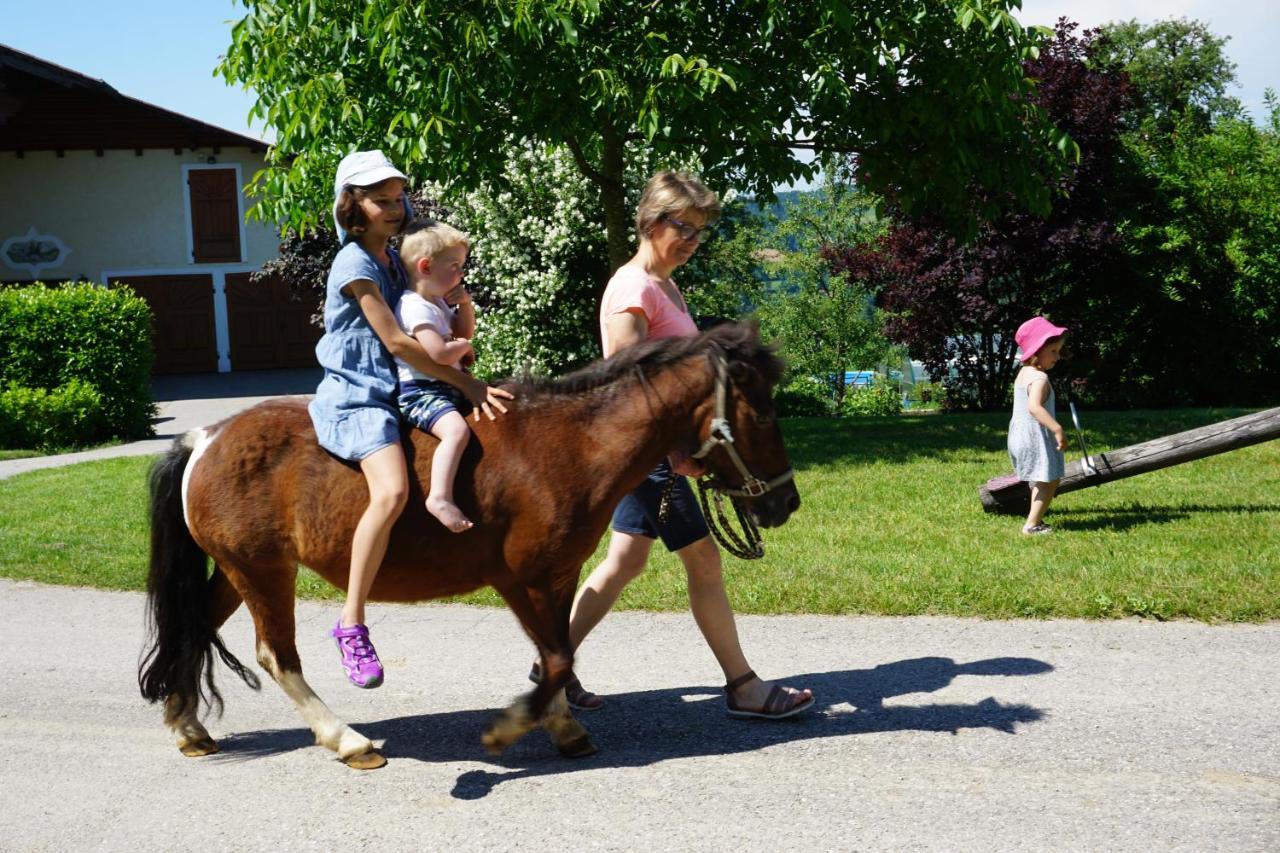 Kinderbauernhof Salmanner Steinbach an der Steyr Esterno foto