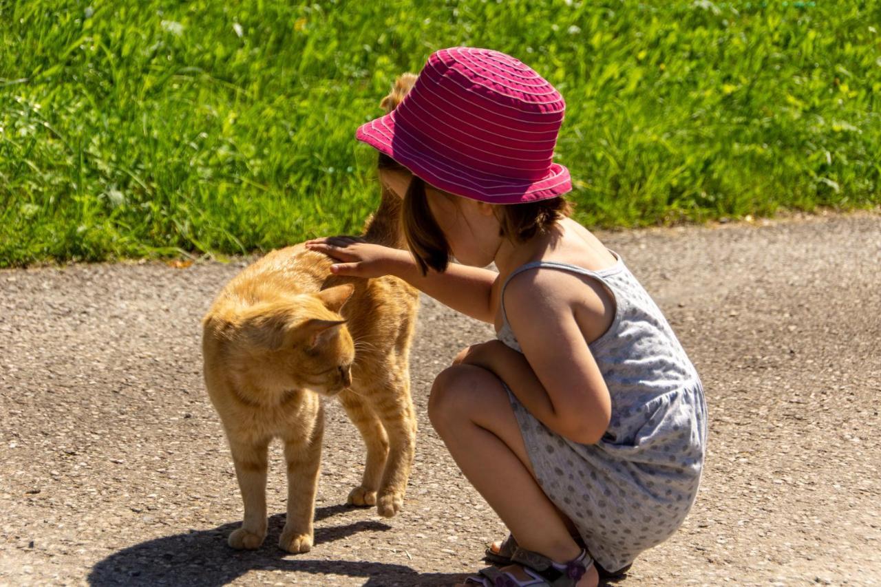 Kinderbauernhof Salmanner Steinbach an der Steyr Esterno foto