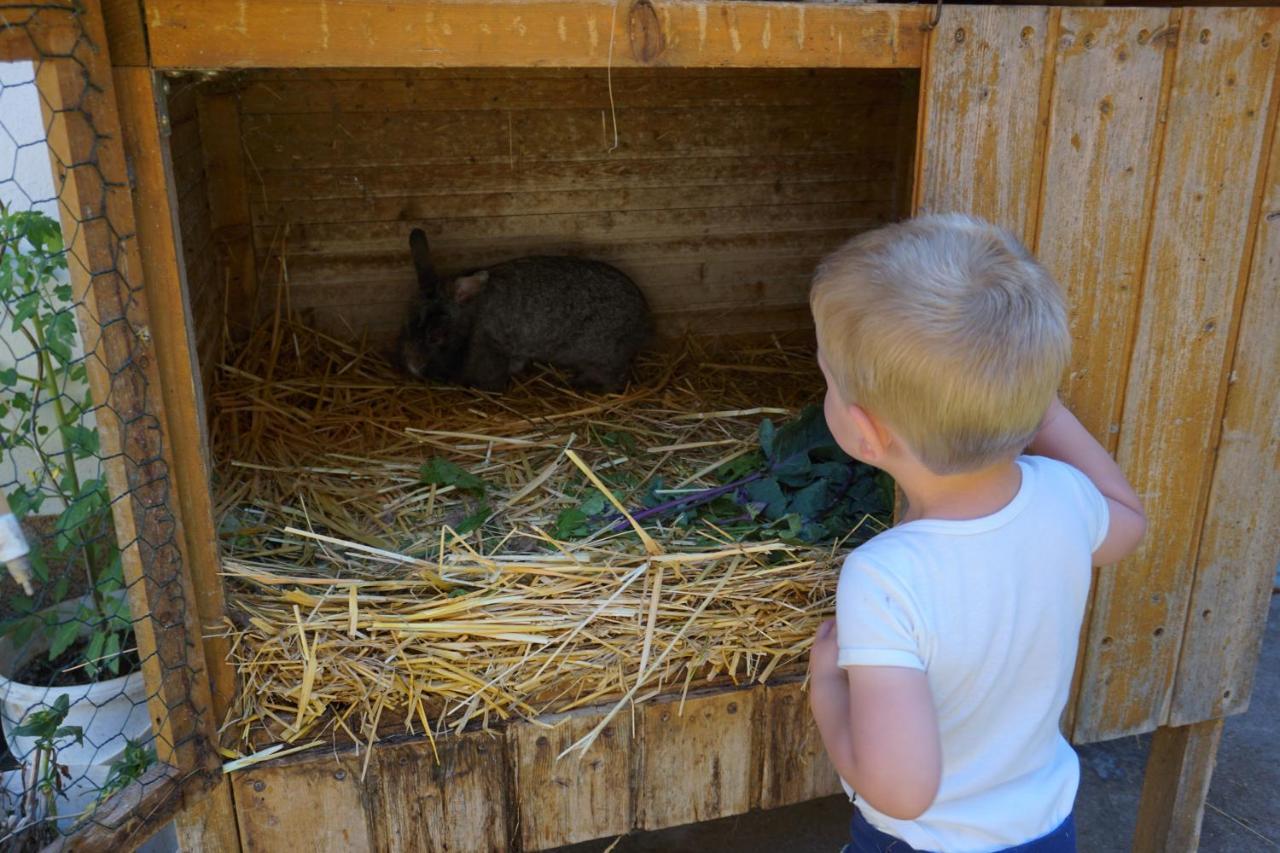 Kinderbauernhof Salmanner Steinbach an der Steyr Esterno foto