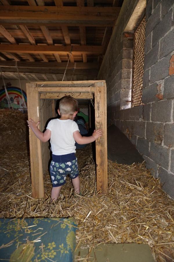 Kinderbauernhof Salmanner Steinbach an der Steyr Esterno foto