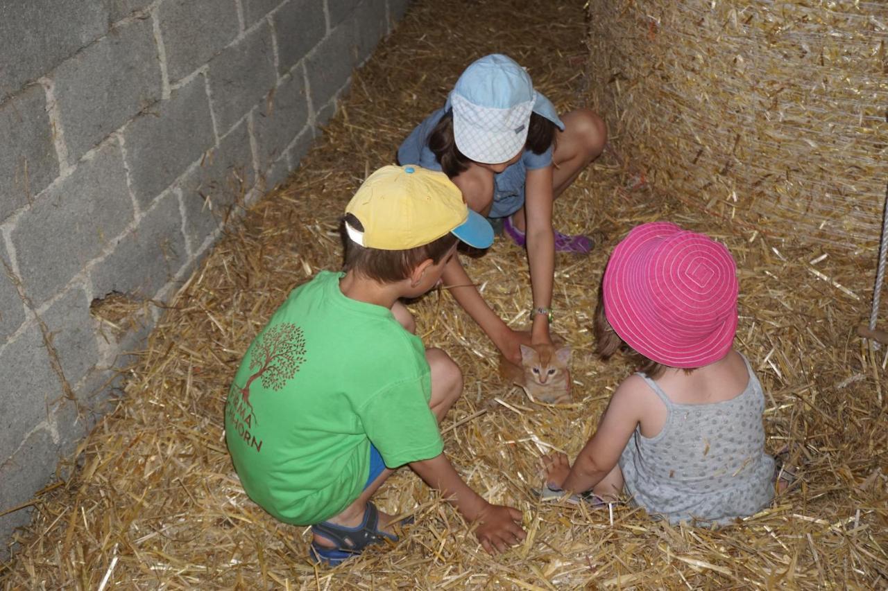 Kinderbauernhof Salmanner Steinbach an der Steyr Esterno foto
