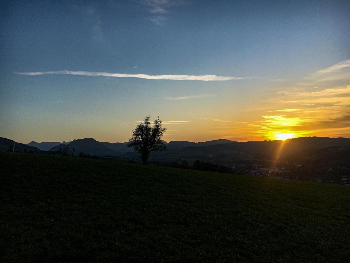 Kinderbauernhof Salmanner Steinbach an der Steyr Esterno foto