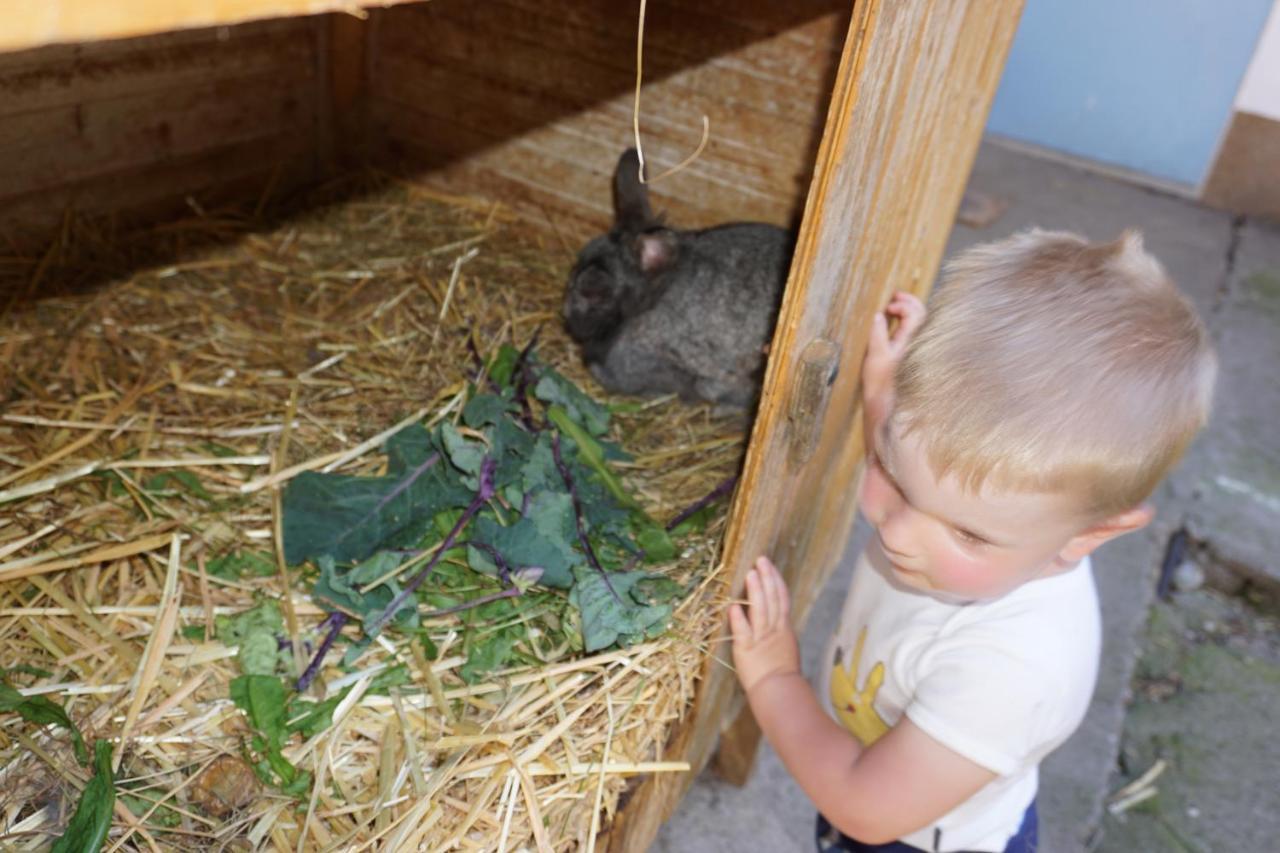 Kinderbauernhof Salmanner Steinbach an der Steyr Esterno foto