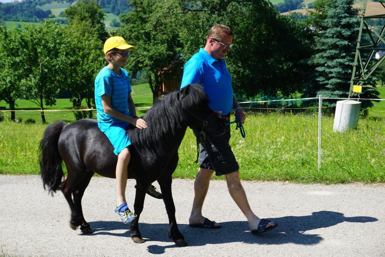 Kinderbauernhof Salmanner Steinbach an der Steyr Esterno foto
