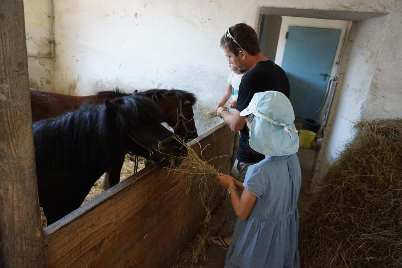 Kinderbauernhof Salmanner Steinbach an der Steyr Esterno foto