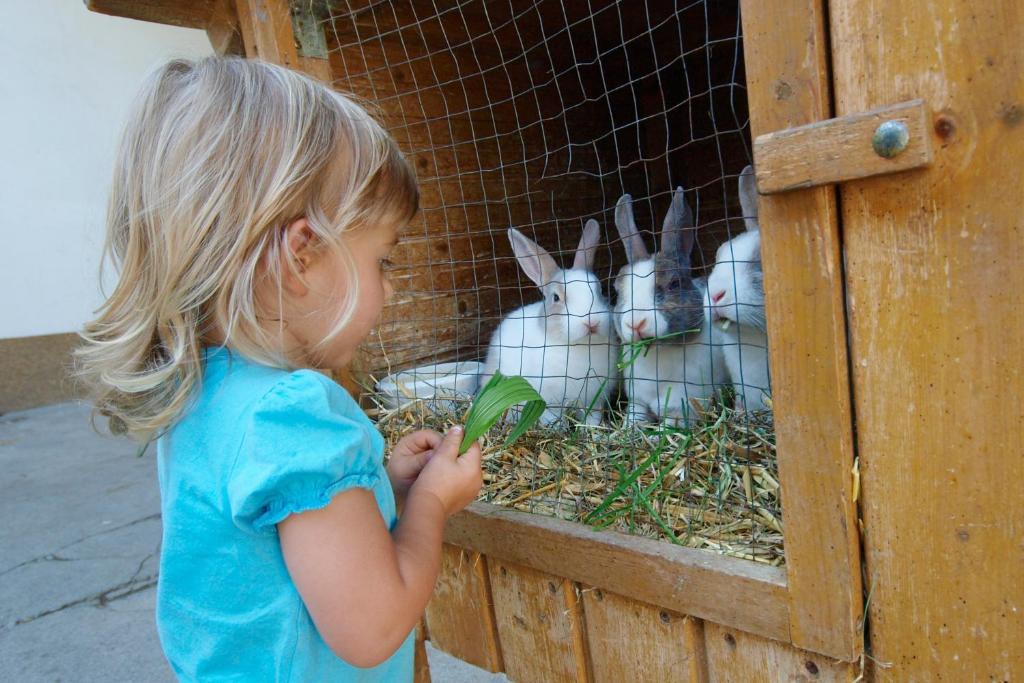 Kinderbauernhof Salmanner Steinbach an der Steyr Esterno foto